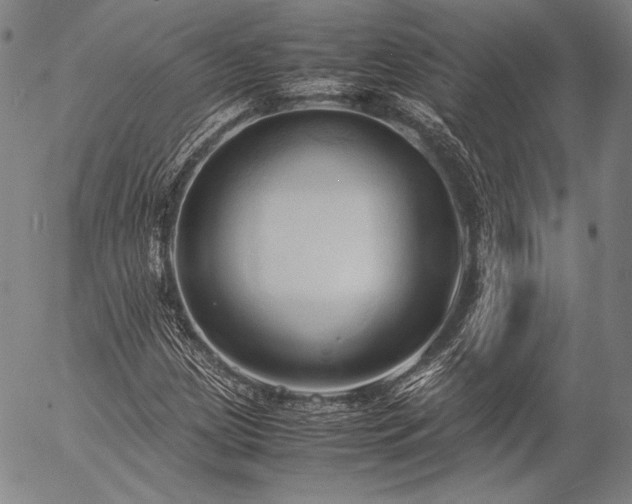 X0000057041209200509091058