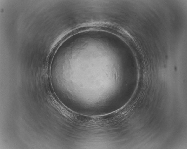 X0000057041216200509091058