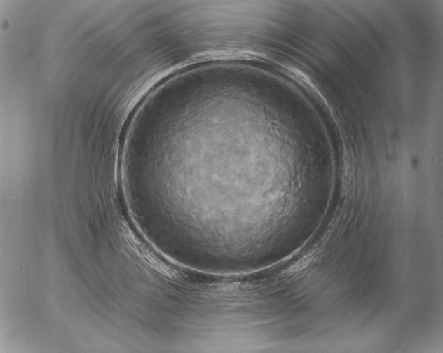X0000057041228200509091058