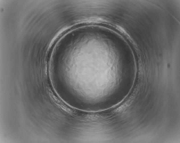 X0000057041232200509091058