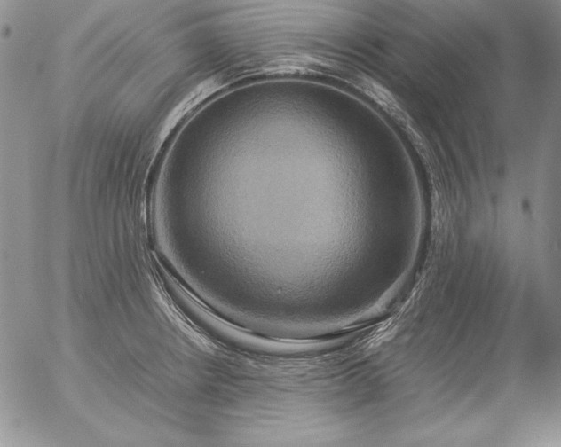 X0000057041234200509091058