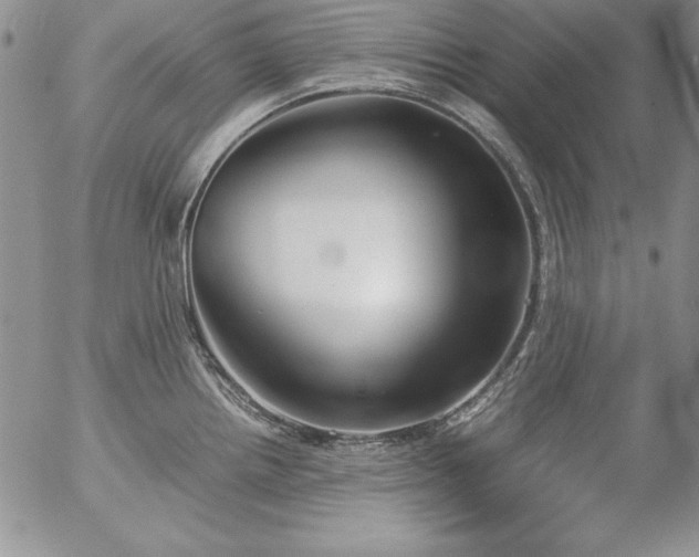 X0000057041242200509091058