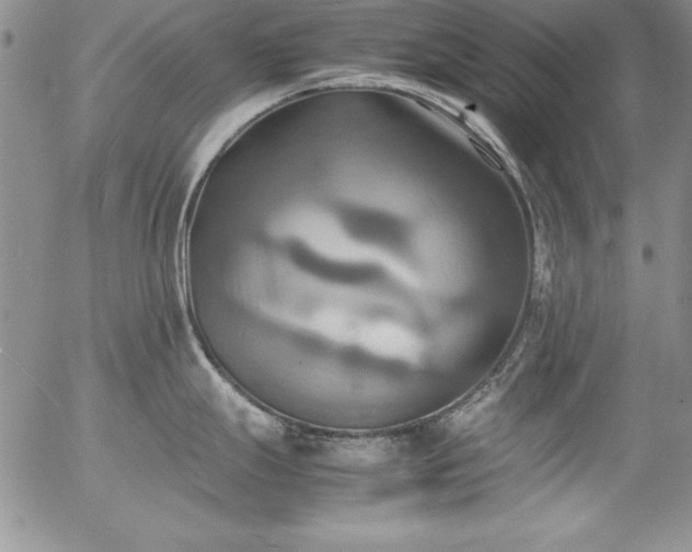 X0000057041247200509091058