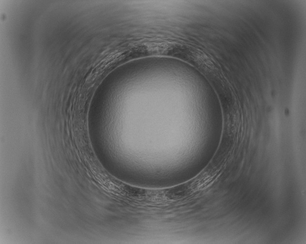 X0000057041249200509091057