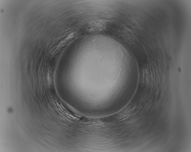 X0000057041250200509091057