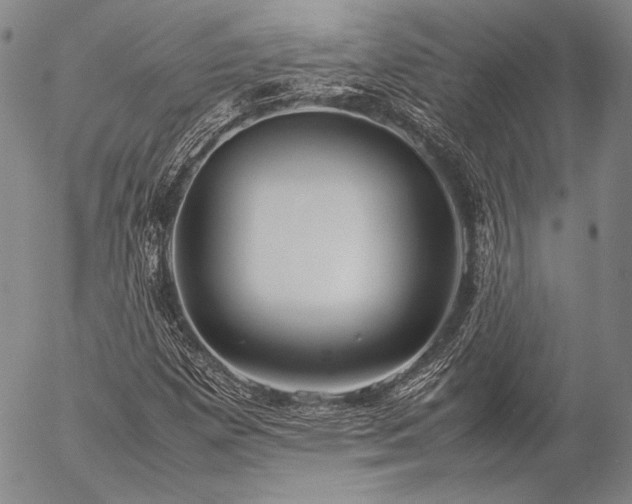 X0000057041257200509091057