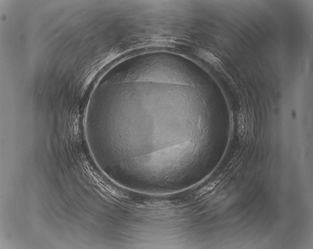 X0000057041260200509091057