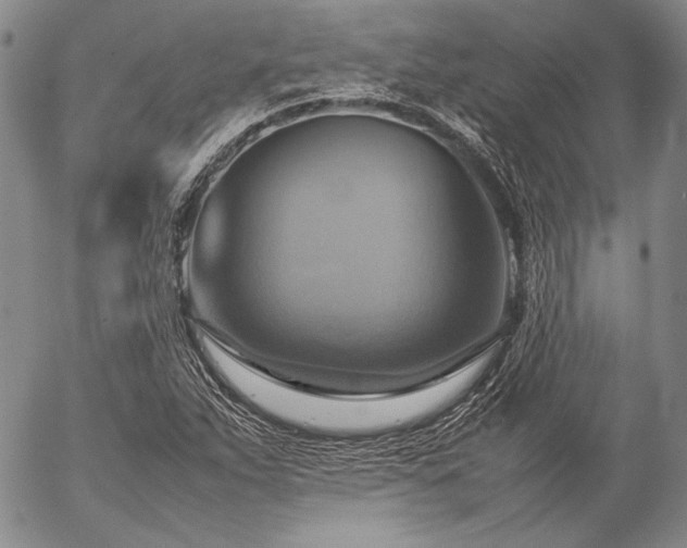 X0000057041263200509091057