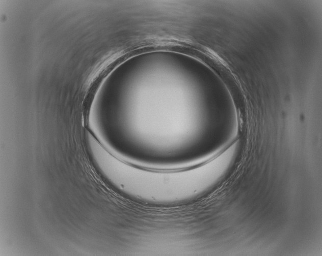 X0000057041269200509091057