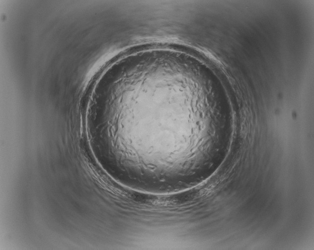 X0000057041271200509091057