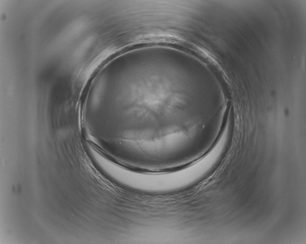 X0000057041275200509091057