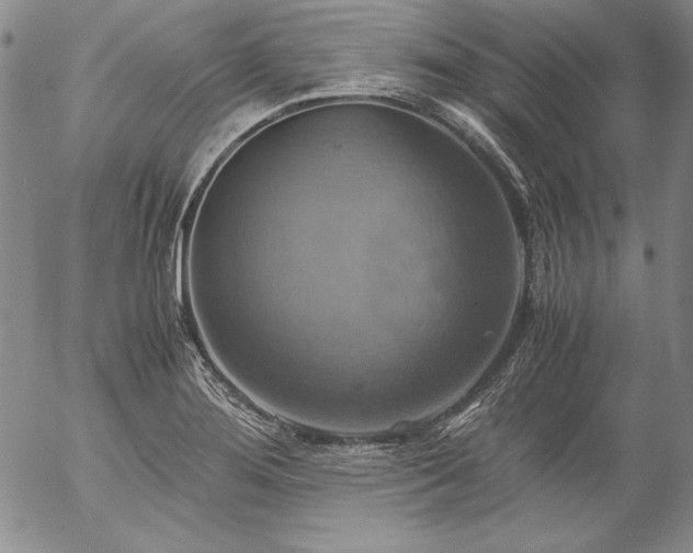X0000057041276200509091057
