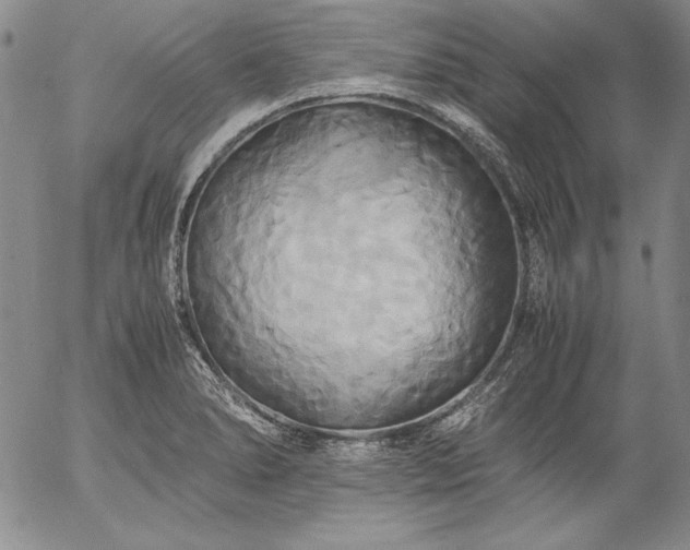 X0000057041278200509091057