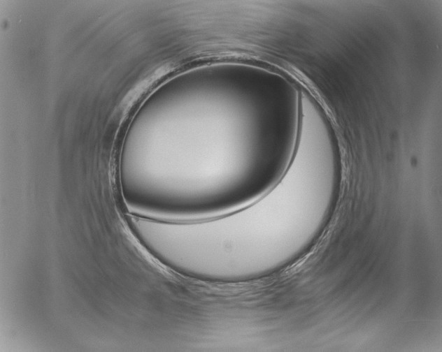 X0000057041285200509091057