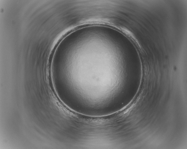 X0000057041288200509091057