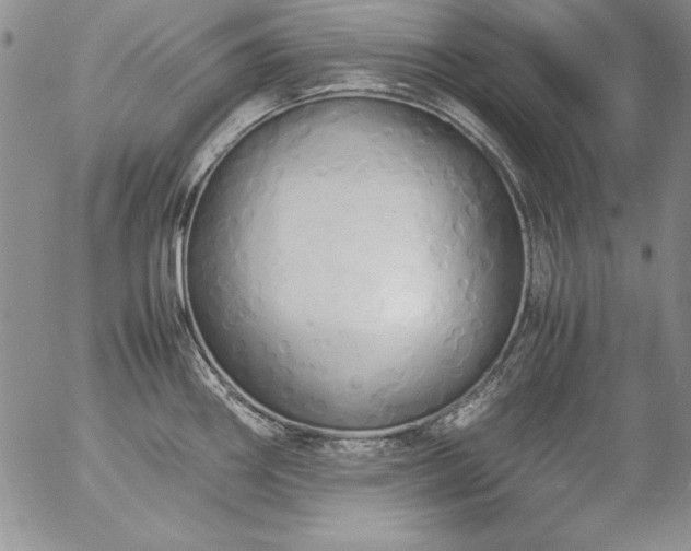 X0000057041290200509091057