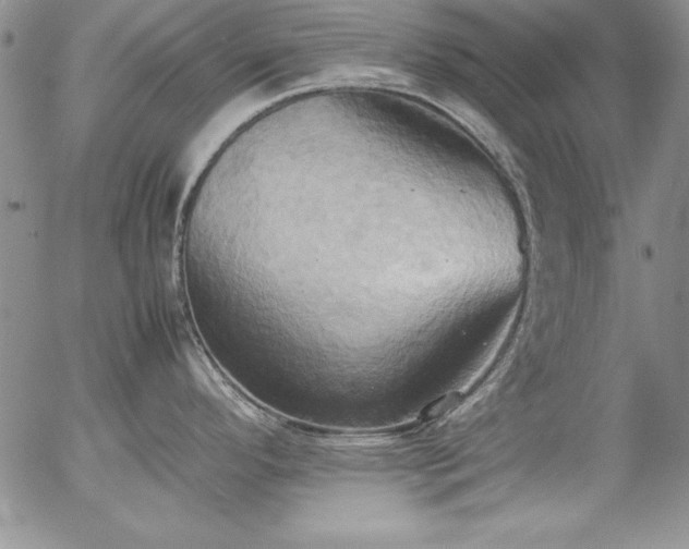 X0000057041296200509091057