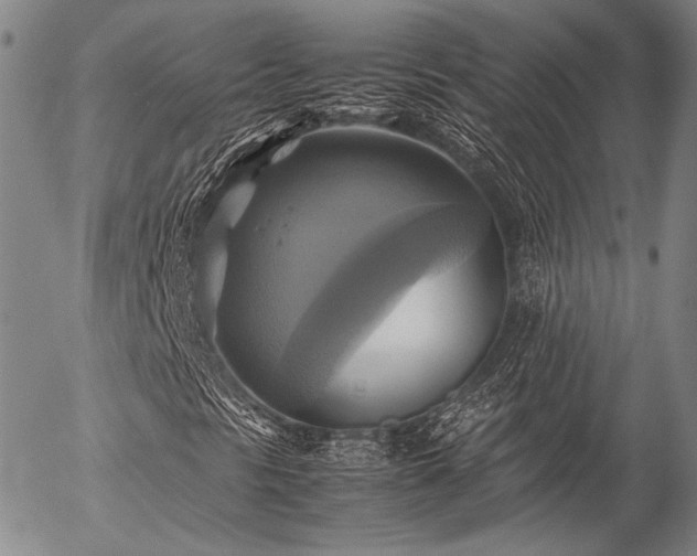 X0000057041297200509091056