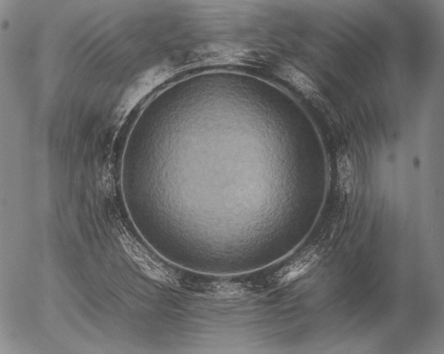 X0000057041308200509091056
