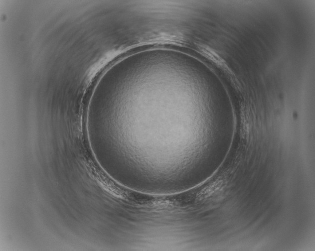 X0000057041316200509091056