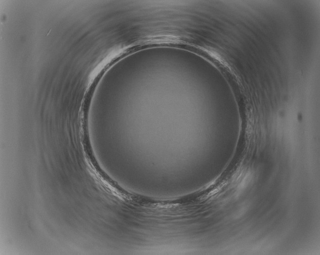 X0000057041325200509091056