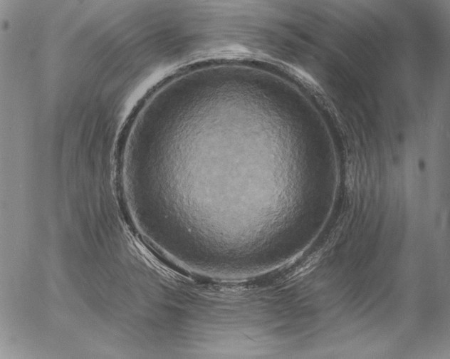X0000057041326200509091056