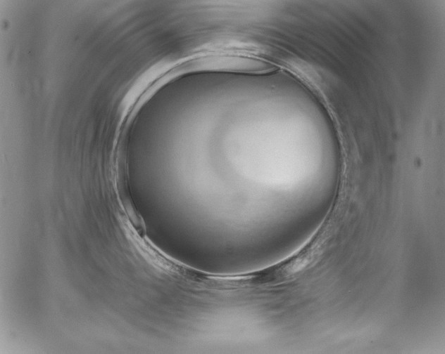 X0000057041344200509091057