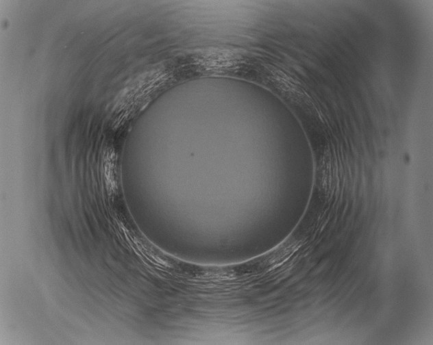 X0000057041346200509091056