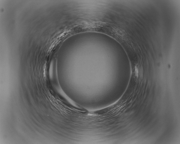 X0000057041348200509091056