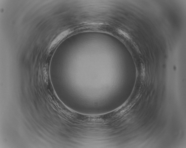 X0000057041354200509091056