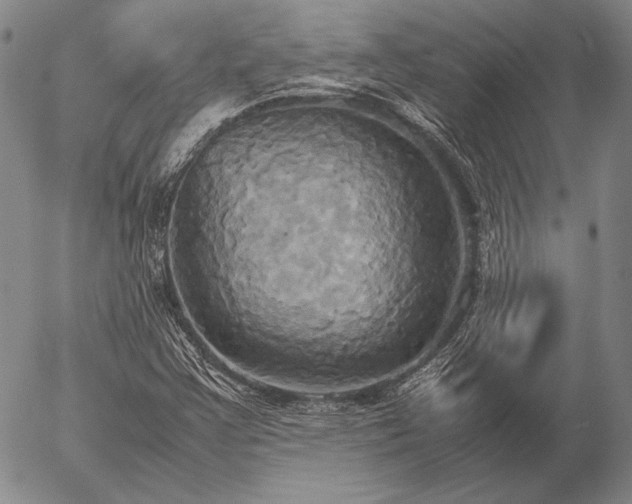 X0000057041355200509091056