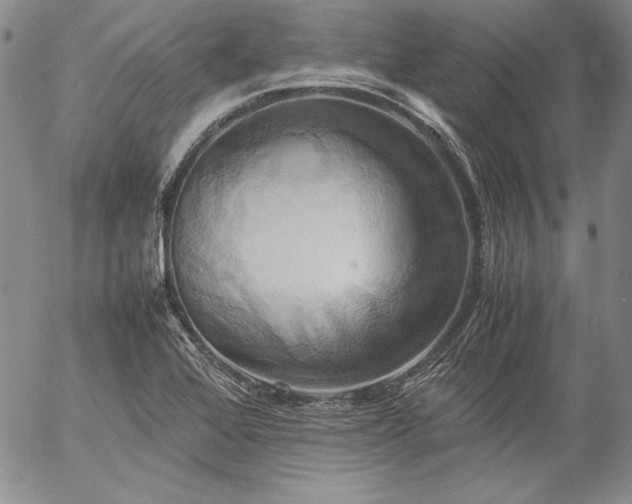 X0000057041368200509091056