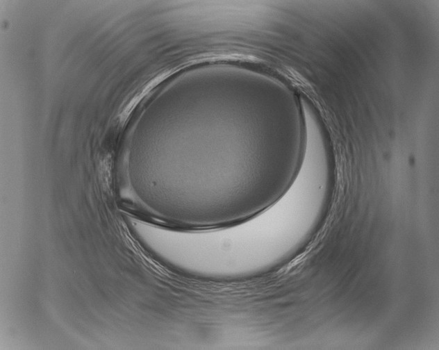 X0000057041369200509091056