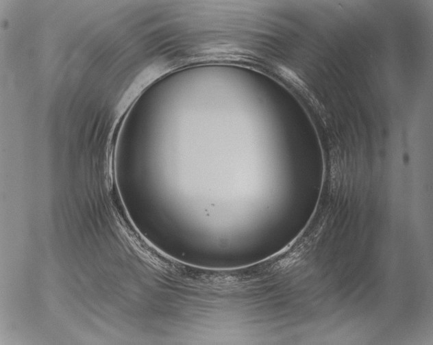 X0000057041370200509091056