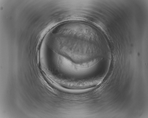 X0000057041371200509091055