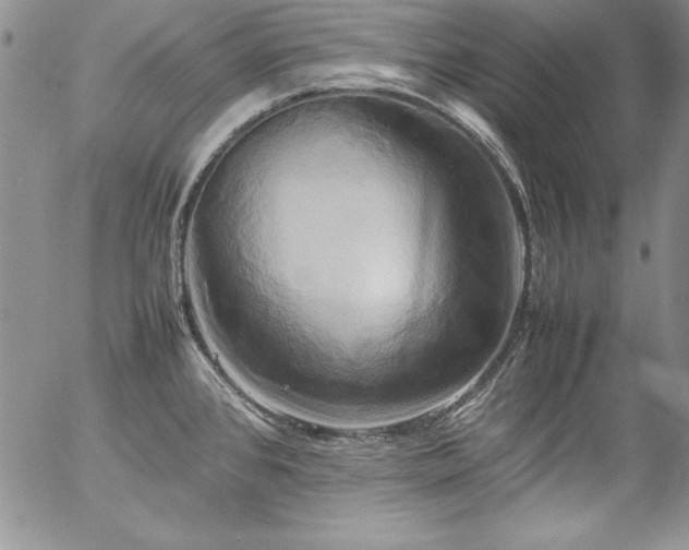 X0000057041384200509091055