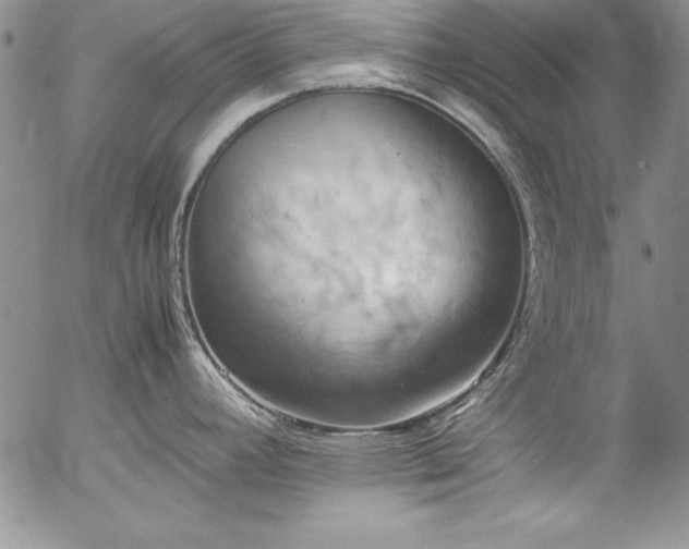 X0000057041392200509091055