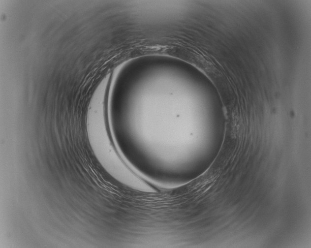 X0000057041394200509091054