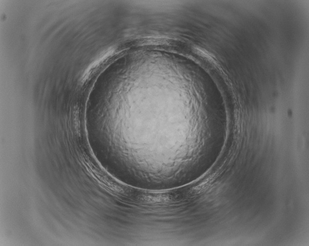 X0000057041403200509091055