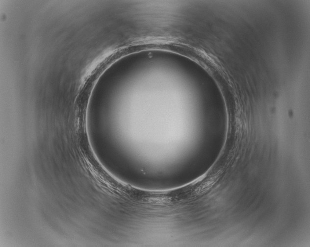 X0000057041406200509091055