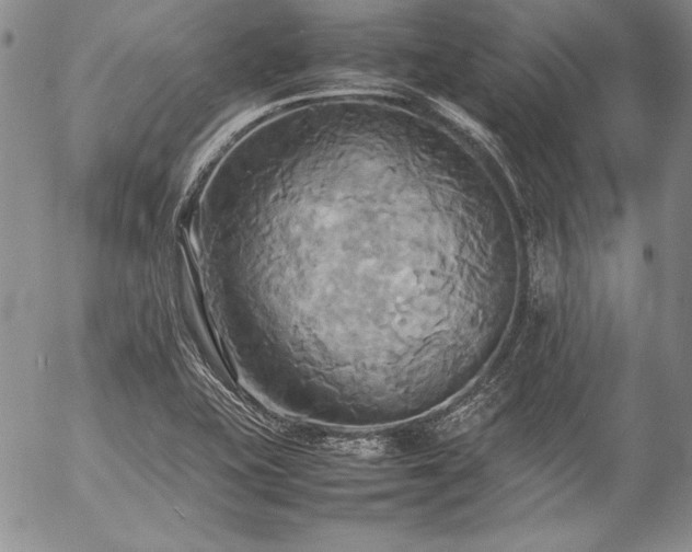 X0000057041415200509091055