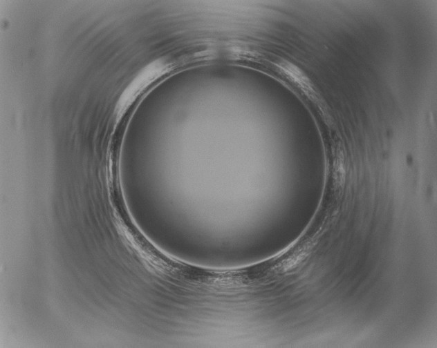 X0000057041418200509091055