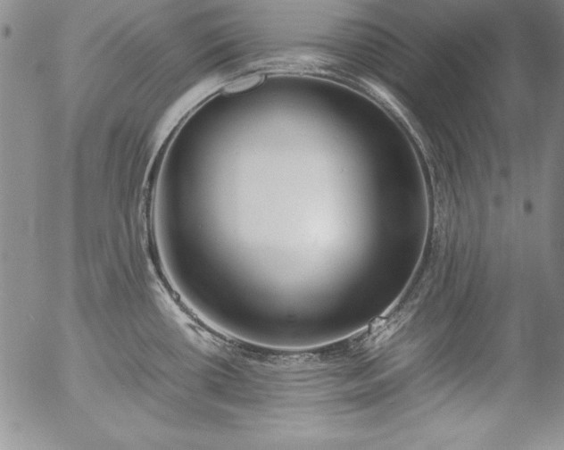X0000057041434200509091055