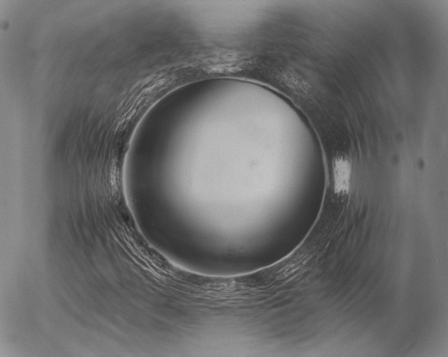 X0000057041444200509091054