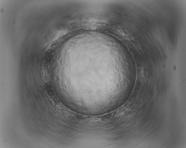 X0000057041446200509091054