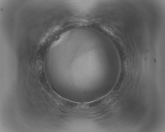 X0000057041447200509091054
