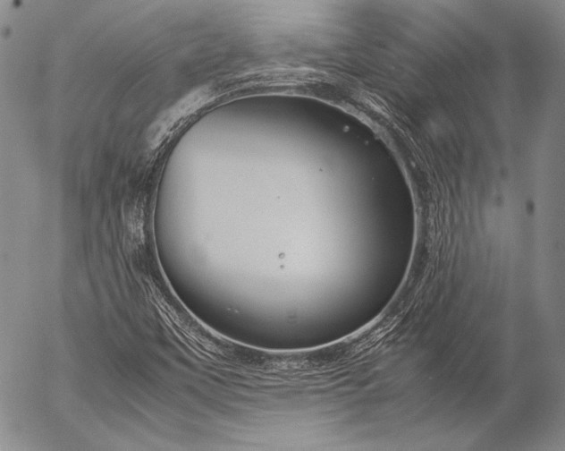 X0000057041451200509091054