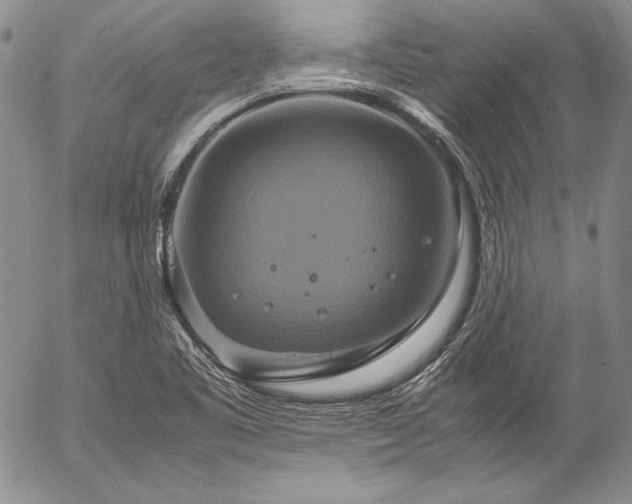 X0000057041461200509091054