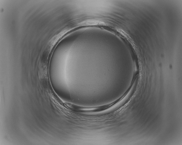 X0000057041465200509091054