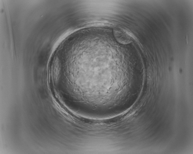 X0000057041467200509091054